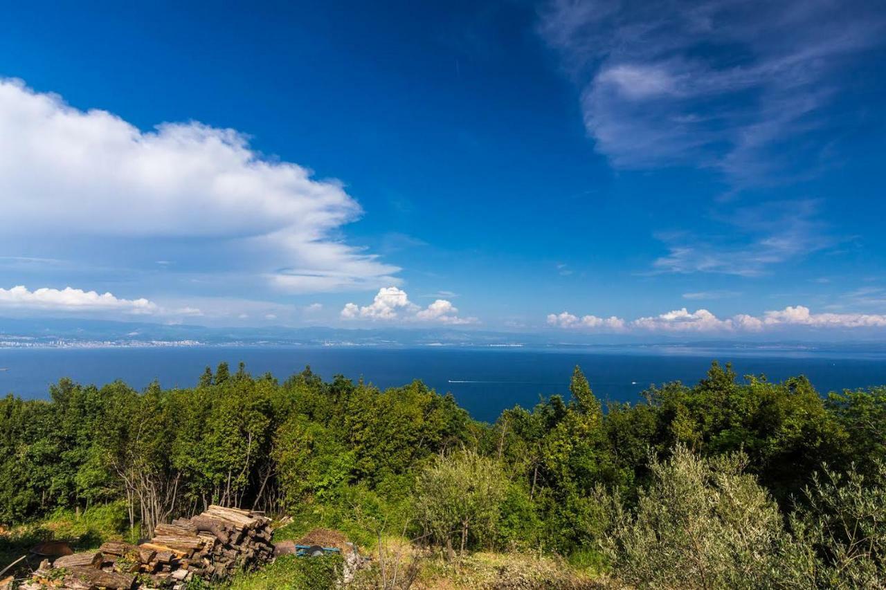 The View Studio Moscenice Bagian luar foto
